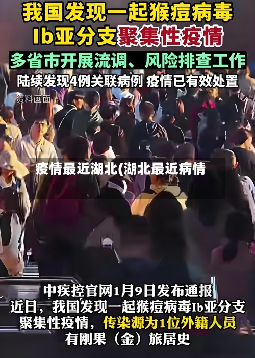 疫情最近湖北(湖北最近病情)-第3张图片