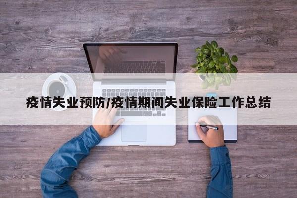 疫情失业预防/疫情期间失业保险工作总结