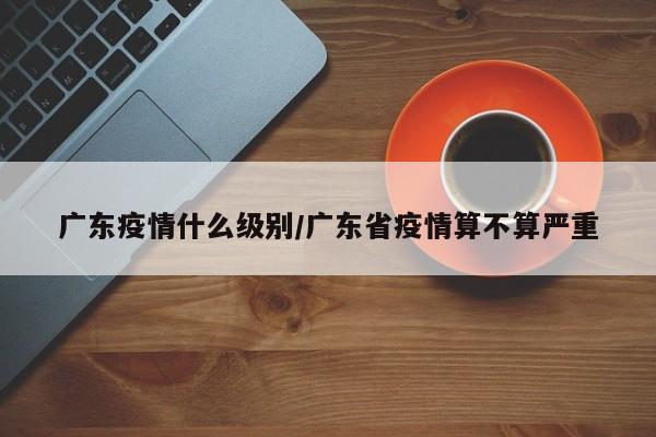 广东疫情什么级别/广东省疫情算不算严重