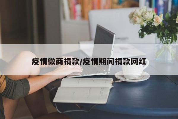 疫情微商捐款/疫情期间捐款网红