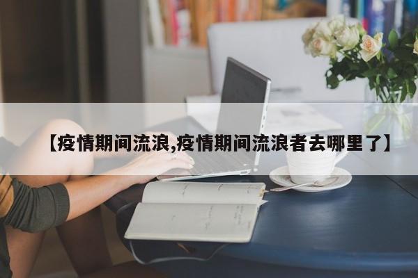 【疫情期间流浪,疫情期间流浪者去哪里了】